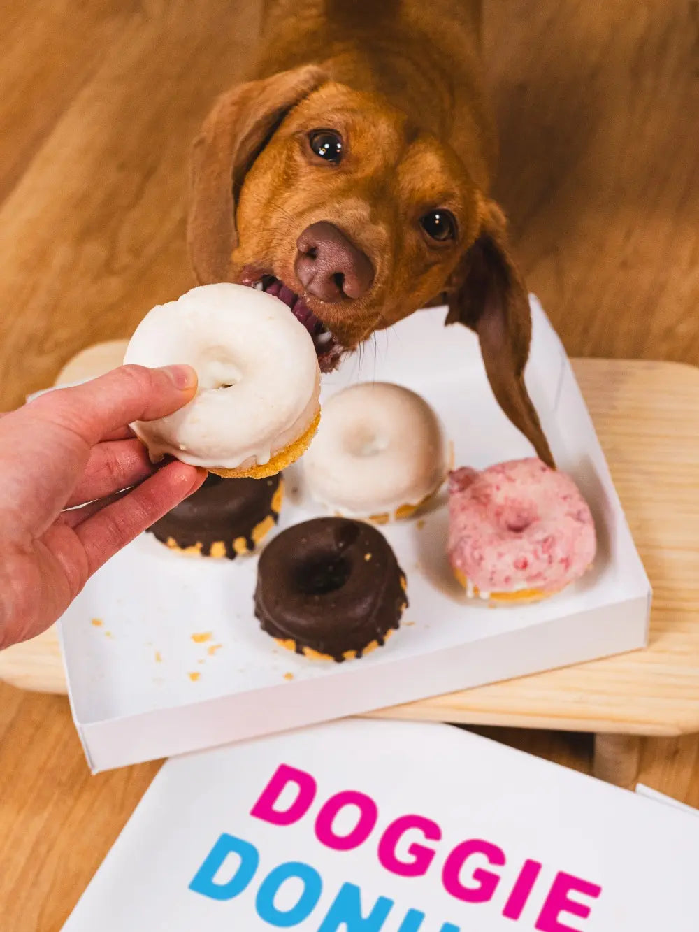 The Dog'S Table: 120+ Easy Real-Food Recipes for Happier, Healthier Pups―From Eggs Benedog to Seafood Pawella