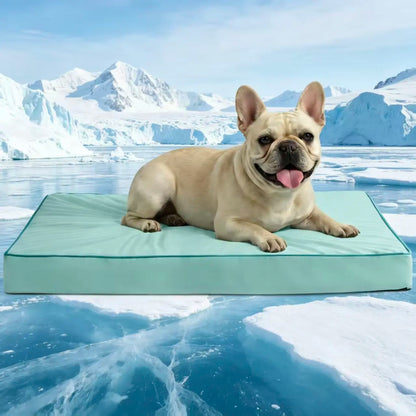 Blunique Cooling Orthopedic Dog Bed for Dogs & Cats, Waterproof Egg Crate Foam Pet Sofa Bed & Cooling Mat 2-In-1 Flat & C-Shaped Design, Q-Max 4.0 Temperature Regulating Fabric, Washable & Dryer Safe Pet Bed for All Seasons