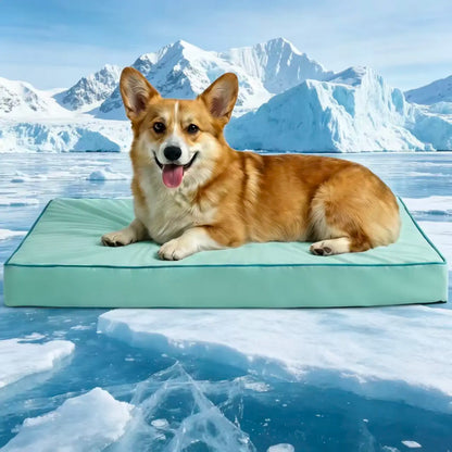 Blunique Cooling Orthopedic Dog Bed for Dogs & Cats, Waterproof Egg Crate Foam Pet Sofa Bed & Cooling Mat 2-In-1 Flat & C-Shaped Design, Q-Max 4.0 Temperature Regulating Fabric, Washable & Dryer Safe Pet Bed for All Seasons