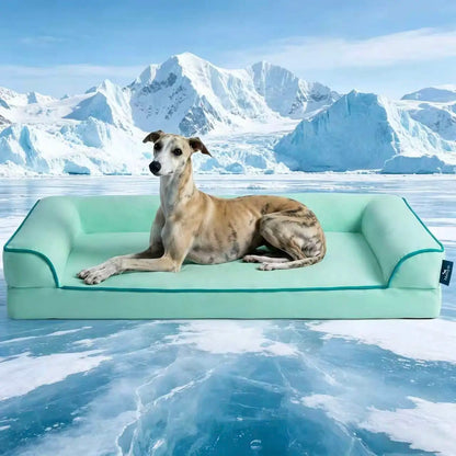 Blunique Cooling Orthopedic Dog Bed for Dogs & Cats, Waterproof Egg Crate Foam Pet Sofa Bed & Cooling Mat 2-In-1 Flat & C-Shaped Design, Q-Max 4.0 Temperature Regulating Fabric, Washable & Dryer Safe Pet Bed for All Seasons