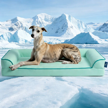 Blunique Cooling Orthopedic Dog Bed for Dogs & Cats, Waterproof Egg Crate Foam Pet Sofa Bed & Cooling Mat 2-In-1 Flat & C-Shaped Design, Q-Max 4.0 Temperature Regulating Fabric, Washable & Dryer Safe Pet Bed for All Seasons