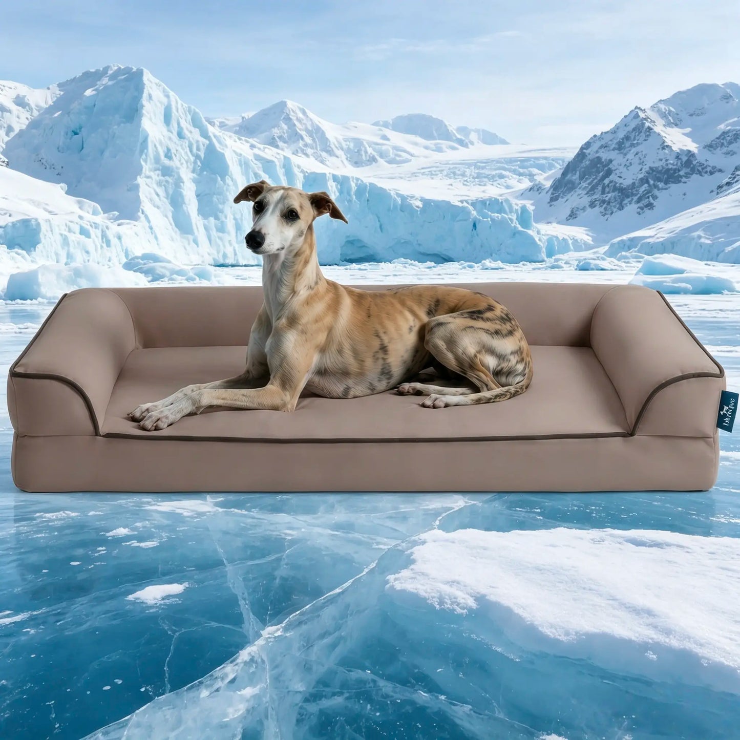 Blunique Cooling Orthopedic Dog Bed for Dogs & Cats, Waterproof Egg Crate Foam Pet Sofa Bed & Cooling Mat 2-In-1 Flat & C-Shaped Design, Q-Max 4.0 Temperature Regulating Fabric, Washable & Dryer Safe Pet Bed for All Seasons