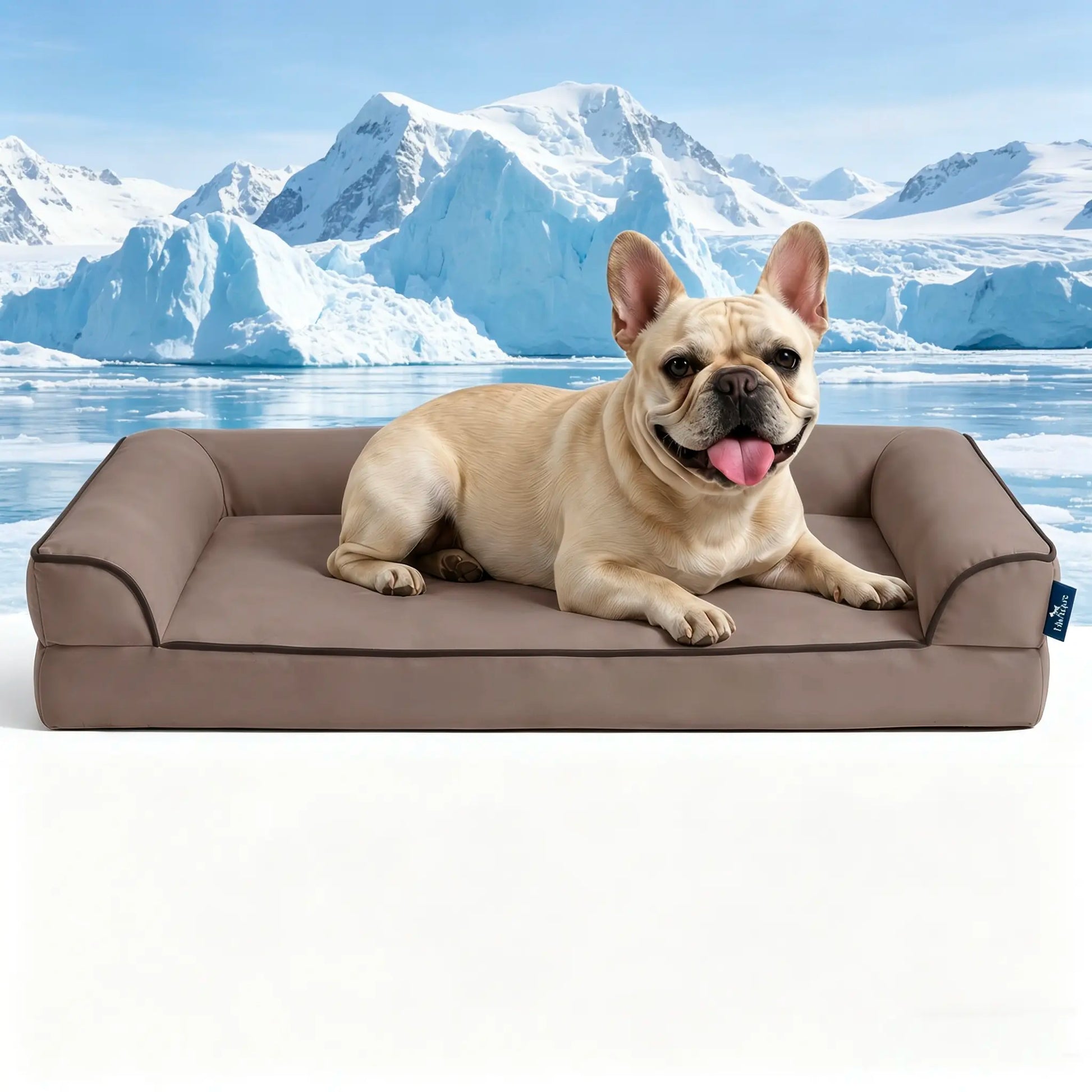 Blunique Cooling Orthopedic Dog Bed for Dogs & Cats, Waterproof Egg Crate Foam Pet Sofa Bed & Cooling Mat 2-In-1 Flat & C-Shaped Design, Q-Max 4.0 Temperature Regulating Fabric, Washable & Dryer Safe Pet Bed for All Seasons