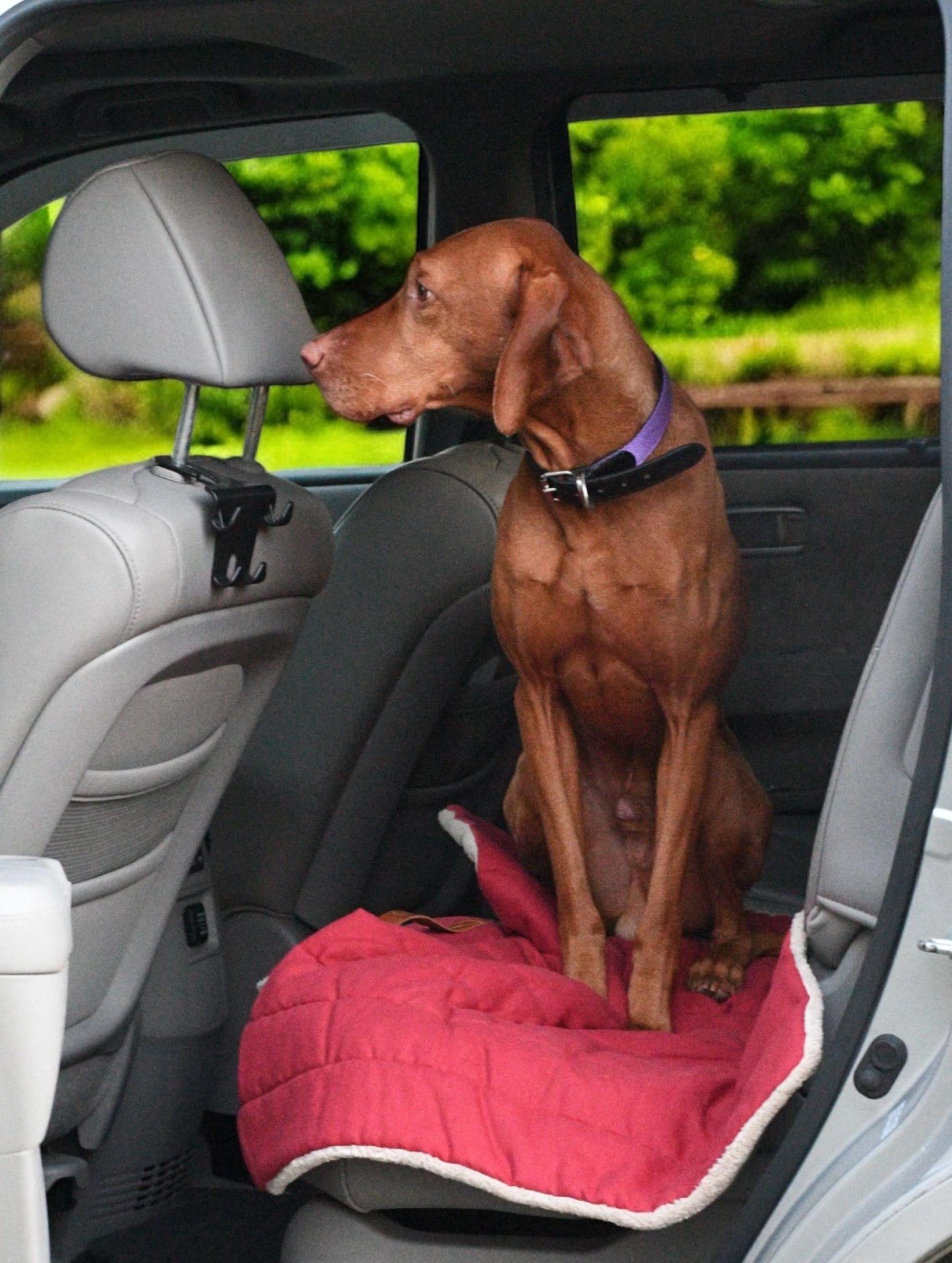 Roll up Travel Dog Mat, Handmade Cotton, Stain & Water Repellent